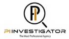 PI Investigator company logo